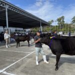 第32回淡路日の出畜産共進会